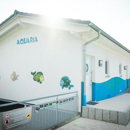 Pension Am Park ルスト エクステリア 写真